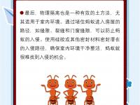 开云体育网站入口-南京蚂蚁能量充沛，完胜强敌
